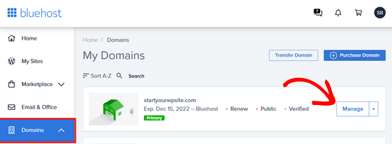 bluehost-domains-tab