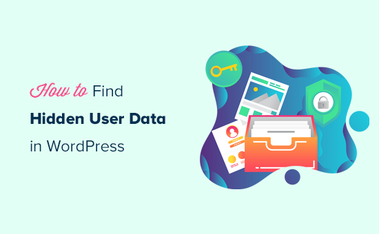 在 WordPress 中查找隐藏的用户数据