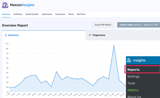 MonsterInsights 报告仪表板