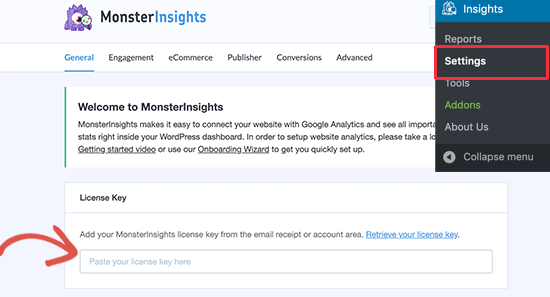 MonsterInsights 许可证密钥