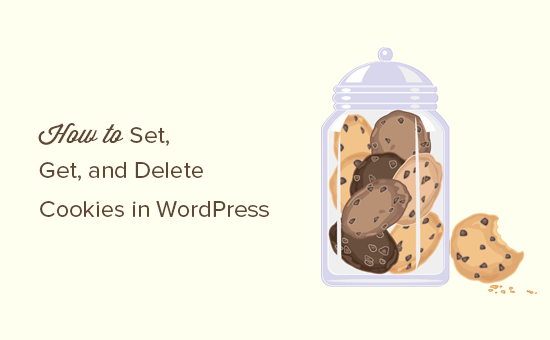 如何在 WordPress 中设置、获取和删除 cookie