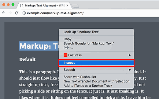 在浏览器中打开 Inspect Element 或开发人员工具