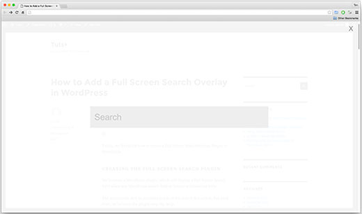 WordPress 网站上的全屏搜索覆盖