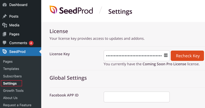 输入您的 SeedProd 许可证密钥