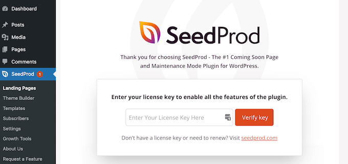 SeedProd 许可证密钥