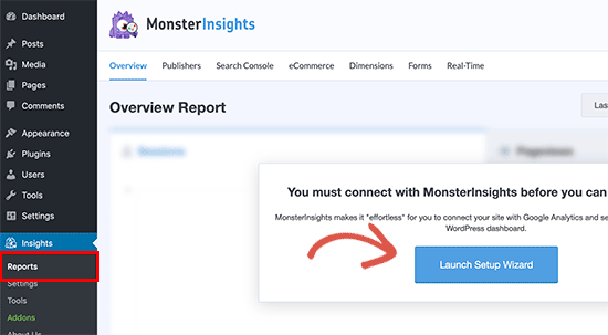 启动 MonsterInsights 设置向导