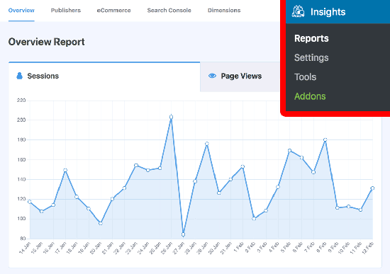 MonsterInsights 中的网站统计报告