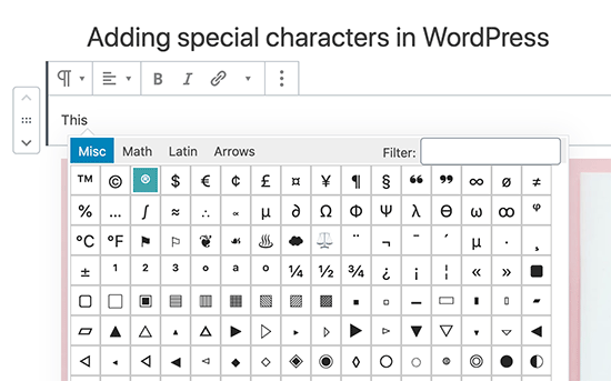 在 Gutenberg WordPress 块编辑器中添加特殊字符