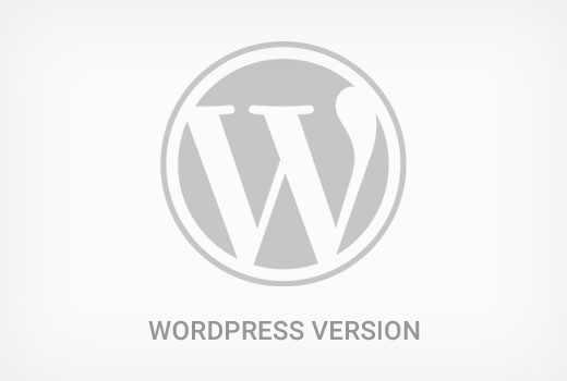 查找 WordPress 版本号