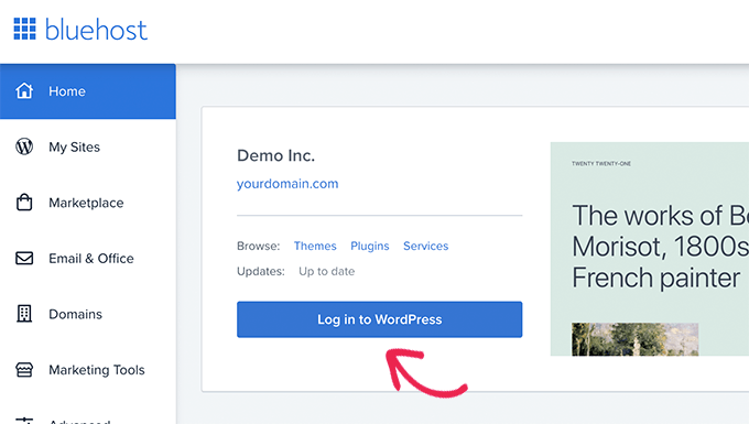 登录您的 WordPress 网站