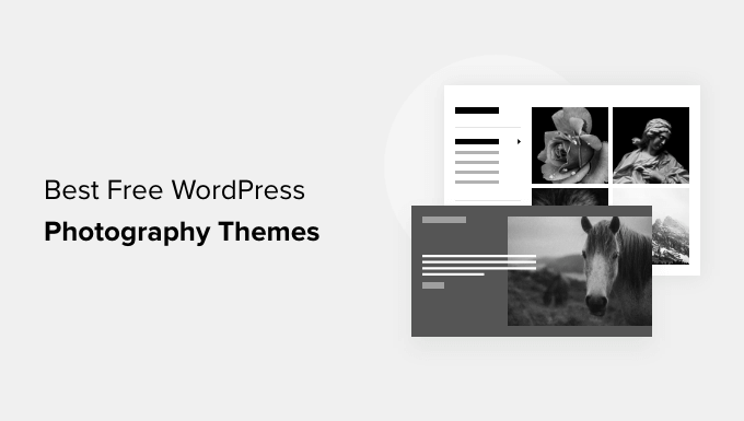 最佳免费 WordPress 摄影主题