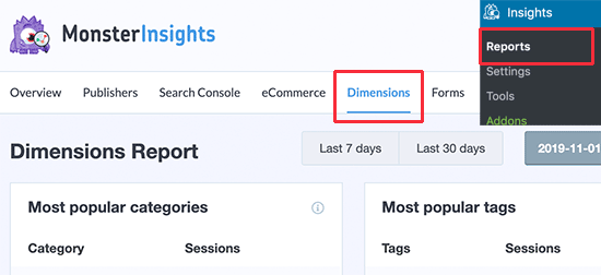 MonsterInsights 中的类别和标签报告