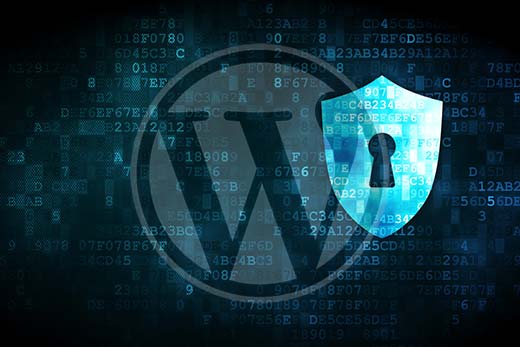 强制更改 WordPress 中所有用户的密码